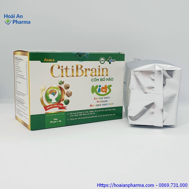 Thành phần của CitiBrain